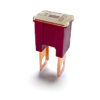japOTO Fuse L140B Dark Red Fuse