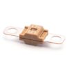 MDP175 M6 Light Brown Fuse