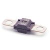 MDP200 M6 Violet Fuse