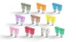 shoBlo normOTO Fuse F1900 Collection