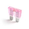 shoBlo normOTO F1904 PinkFuse