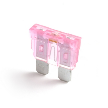 shoBlo normOTO F1904 PinkFuse