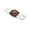 mitoxOTO MTX070 Brown Fuse 70V