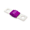 mitoxOTO MTX200 Violet Fuse 70V